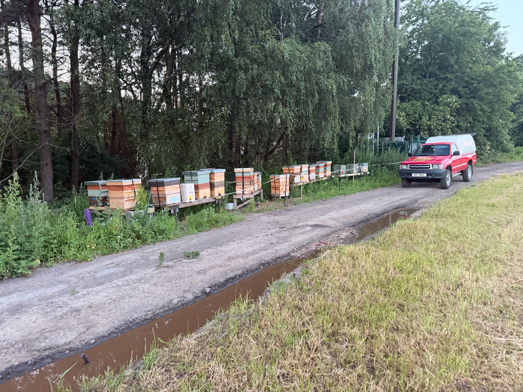 Beekeeper in protective suit inspecting hive